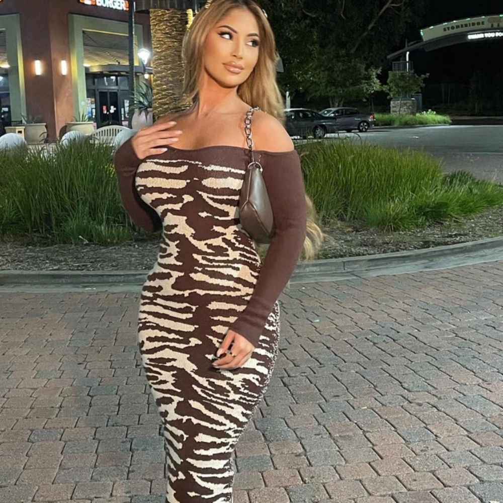Fashion Nova Brown and Cream Zebra Print Dress